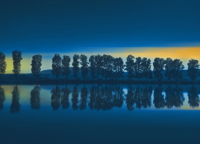 Trees reflected in a lake at sunset