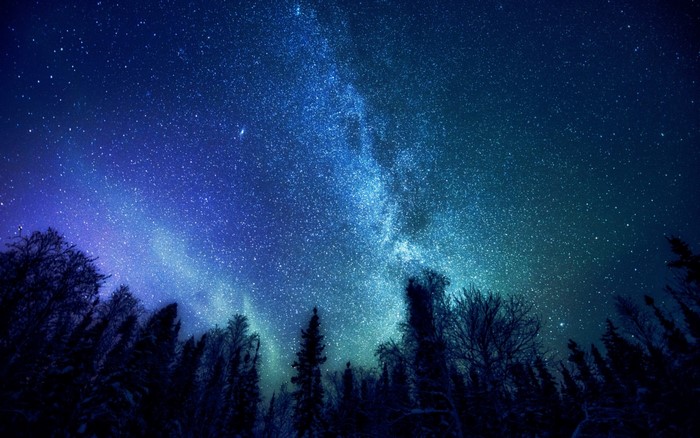 Milky Way galaxy over a dark forest at night