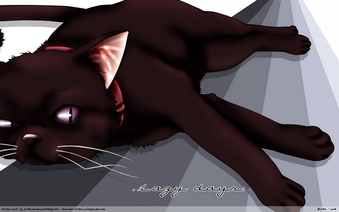 Mao the cat from Darker than Black