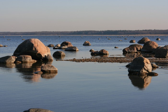 Large rocks in the sea near a forest horizon