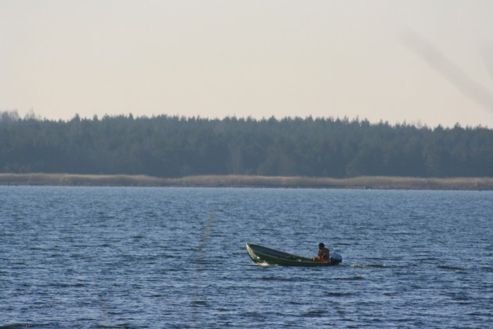 Person in a boat on a lake with forest background