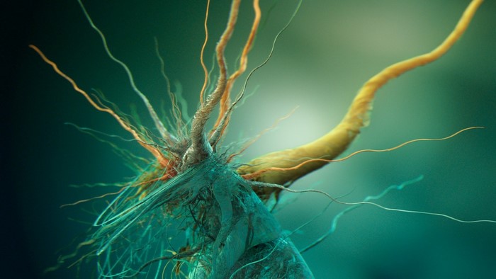 Abstract biological organism with tendrils