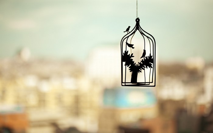 Silhouette birdcage with birds and tree