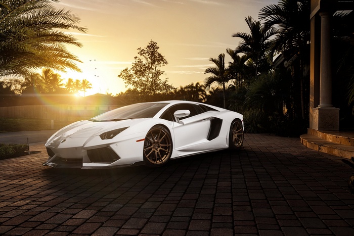 White Lamborghini Aventador on a paved driveway