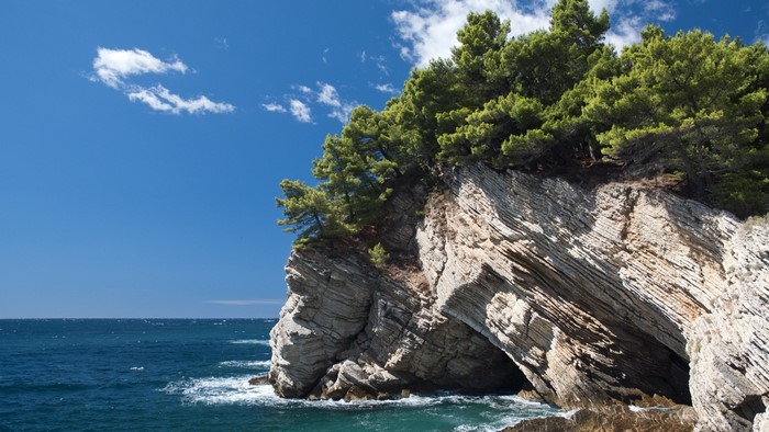 Rocky cliff with pine trees overlooking the sea