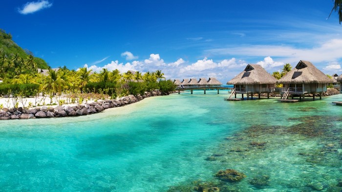 Overwater bungalows in a tropical lagoon with palm trees