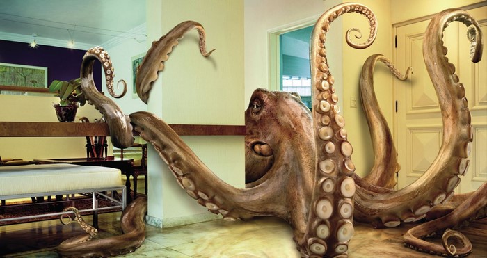 Giant octopus tentacles in a modern interior