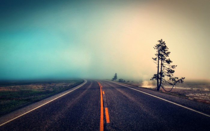 Road through fog with a lone tree