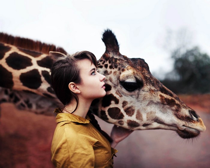 Woman and giraffe in profile