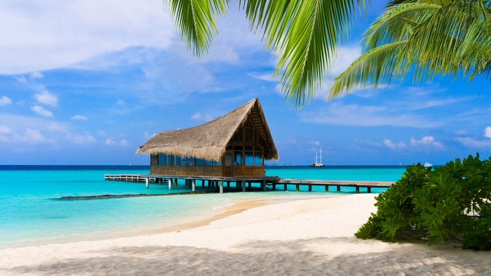 Overwater bungalow on a tropical beach with palm trees