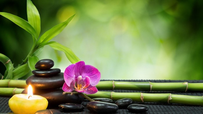 Zen spa arrangement with orchid, bamboo, stones, and candle