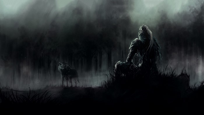 Artorias from Dark Souls in a misty forest with a wolf