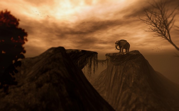 Elephant on a cliff edge with a bridge and sunset