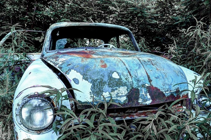 Abandoned vintage car overgrown with plants