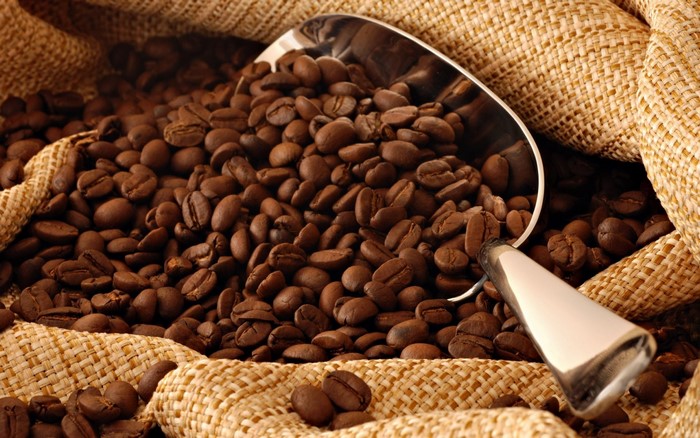 Close-Up of Aromatic Coffee Beans with Scoop