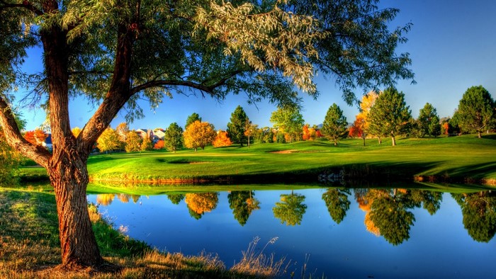 Autumn Trees Reflecting on Calm Water