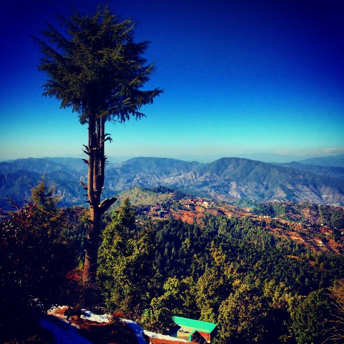 Tall tree overlooking a mountain range with a village
