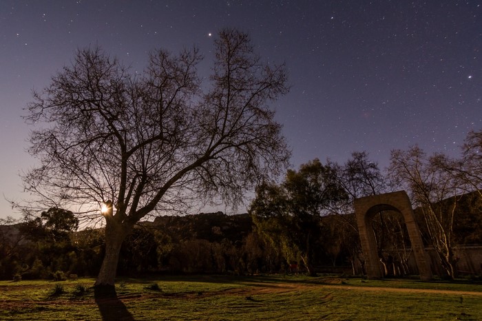 Night landscape with bare tree and ancient archway