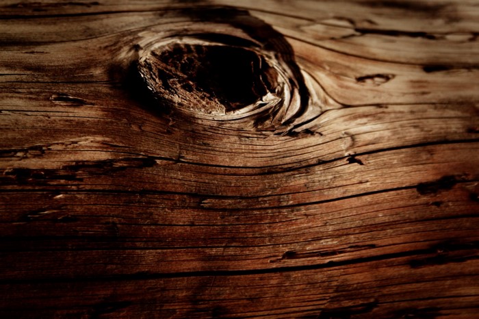Close-up of weathered wood texture with a knot