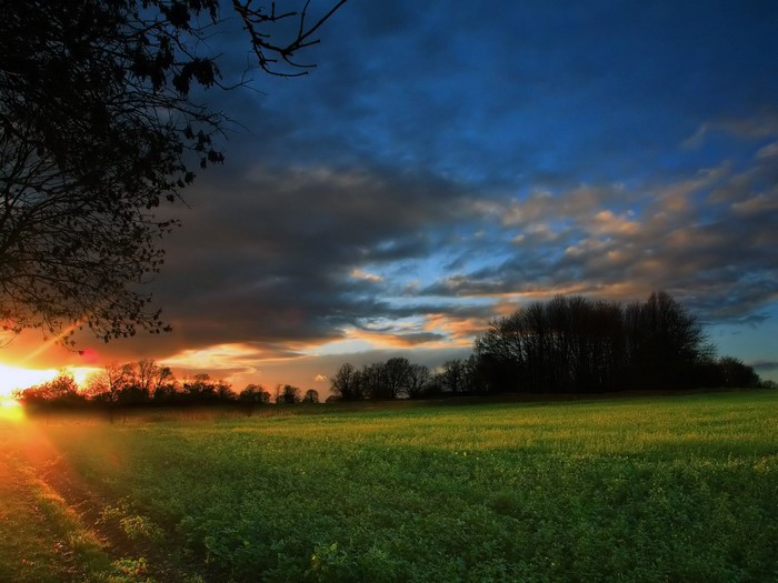 Sunset over a green field with trees and clouds