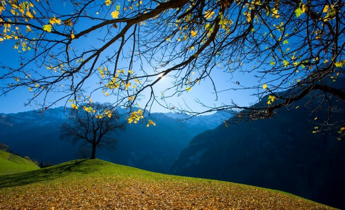 Autumn landscape with tree and mountains