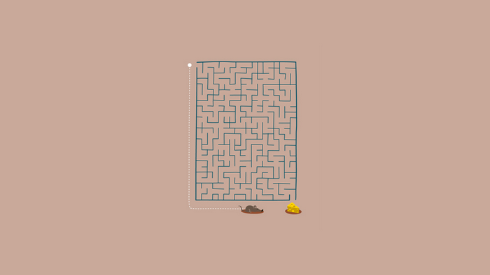 Mouse and Cheese Maze