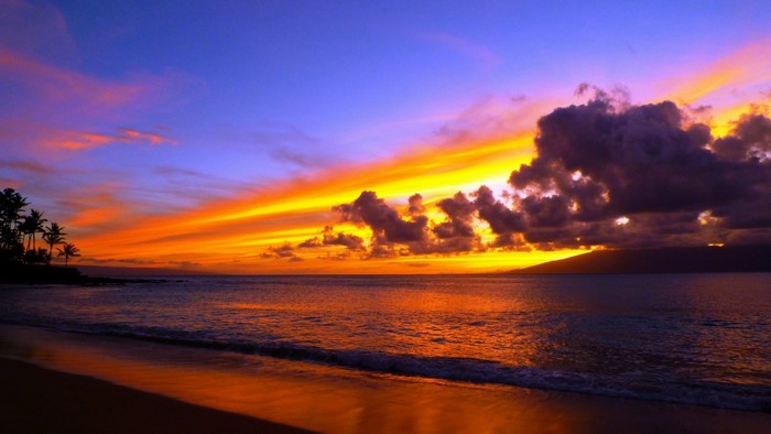 Sunset over the ocean with palm trees on the coast
