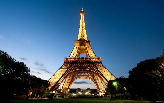 Eiffel Tower at night in Paris, France