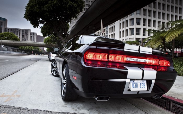 Black Dodge Challenger with White Stripes on City Street