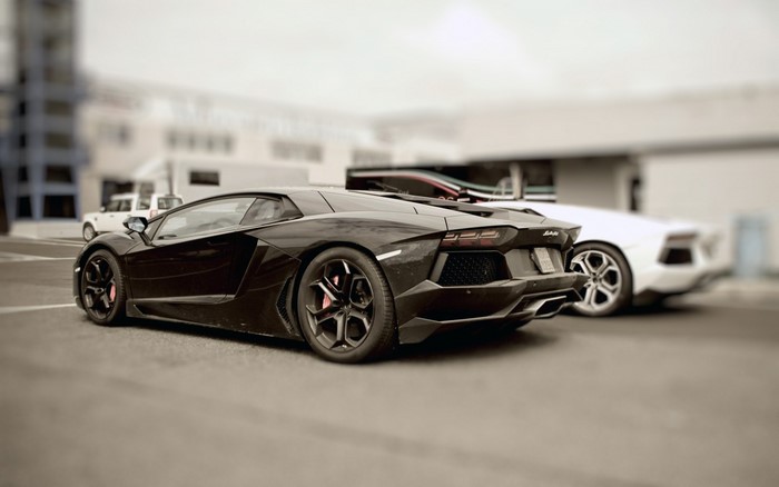Black and white Lamborghini Aventador sports cars
