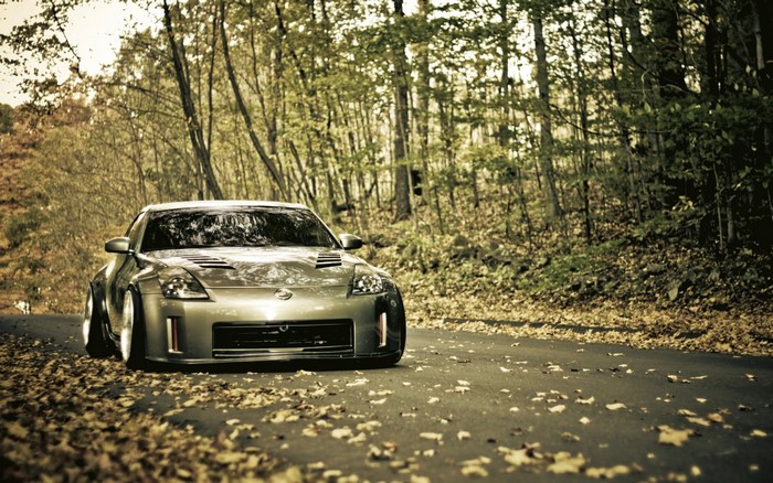 Silver Nissan 350Z sports car on a leaf-covered road