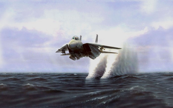 Grumman F-14 Tomcat Fighter Jet Skimming Ocean Surface