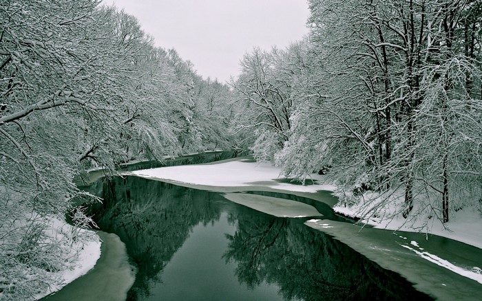 Snow-covered trees line a frozen river in winter