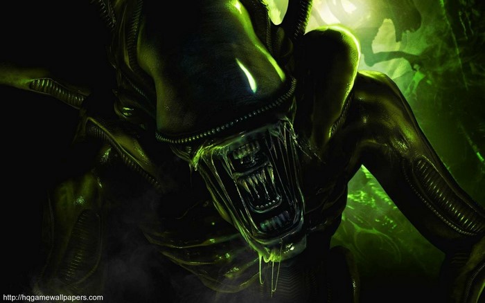 Xenomorph from Alien franchise