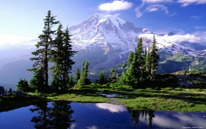 Snow-capped mountain reflected in a lake with pine trees