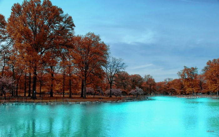 Autumn trees reflected in a bright blue lake