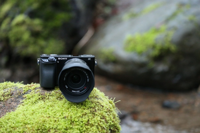 Sony Alpha a6000 camera on mossy rocks
