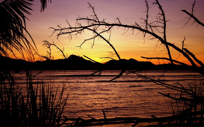 Silhouette of trees and mountains at sunset over the sea
