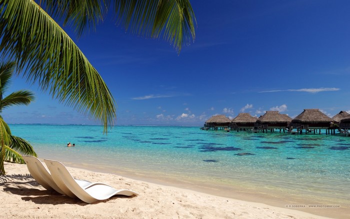 Tropical beach with overwater bungalows and palm trees