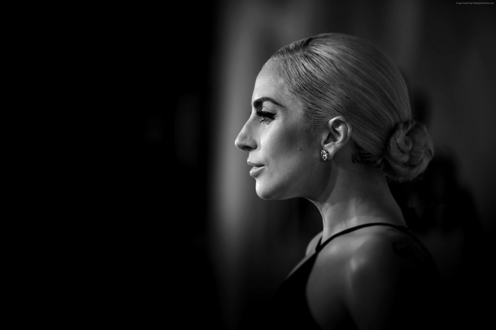 Lady Gaga in profile