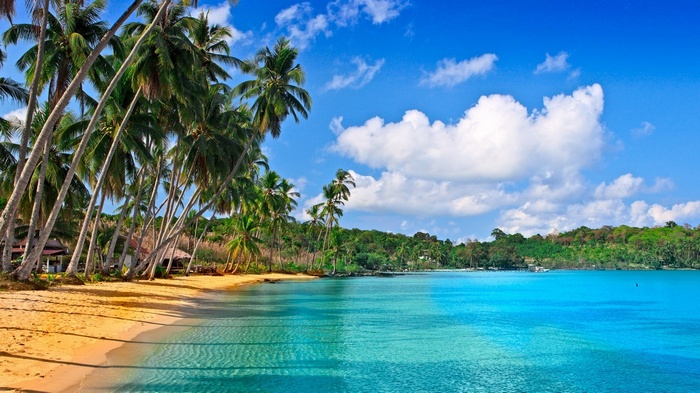 Tropical beach with palm trees and turquoise water
