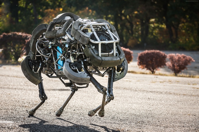 Boston Dynamics WildCat Robot Running
