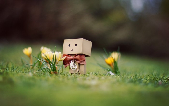 Danbo toy with yellow flowers in grass