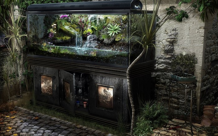 Aquarium with waterfall and plants in an outdoor setting