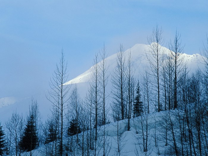 Snowy mountain peak behind bare trees in winter