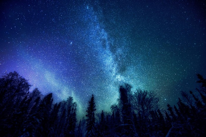 Night sky with Milky Way over forest