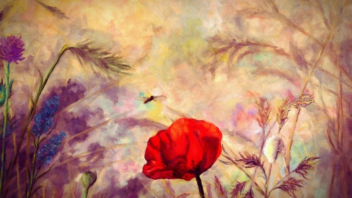 Impressionist painting of poppies and thistles