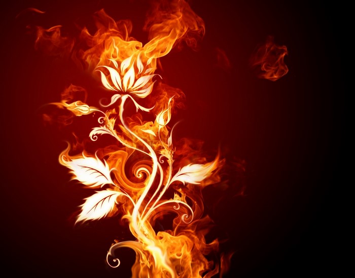 Floral design made of fire and smoke