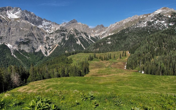 Mountain range with green meadows and forests