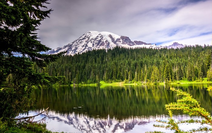 Mount Rainier reflected in a lake surrounded by a forest